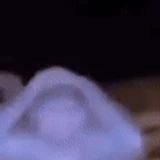 10x