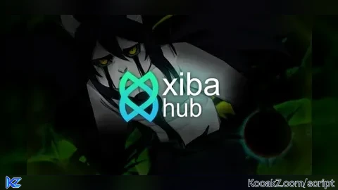 Infinite Chikara IBA HUB