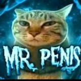 Ronetheutmmguy