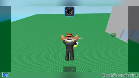 Fly