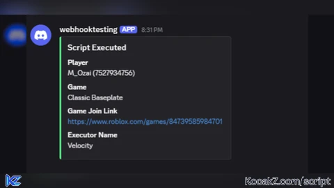 Webhook Execution Log