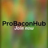 ProBaconHub