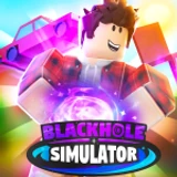 Black Hole Simulator