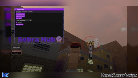 Sebra Hub