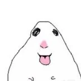 Elpepe123xd