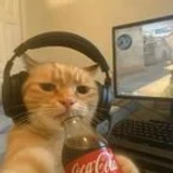 Mirac_scripter