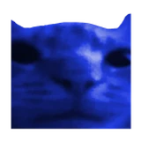 Fro0kiddAlt_brazil