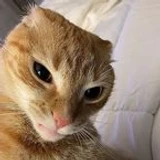 Kaepy