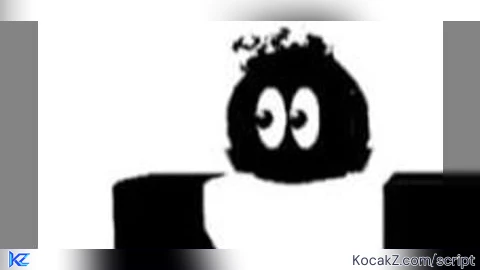 C00lkid script r6 made by me