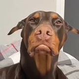 Zunek