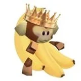 Monkeykingfr