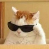 RobloxScripters
