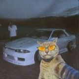 Guest_lil