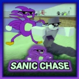 Sanic Chase 🏃 icon