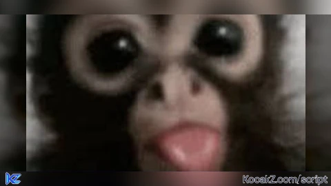 MonkeScripts Universal Fly Script