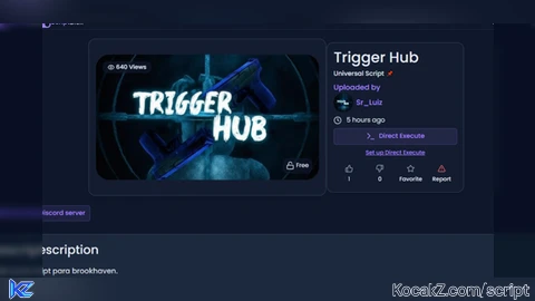 TriggerHub Source Leaked