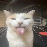 1010101010