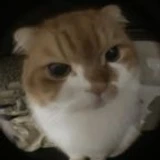 Bubbles_