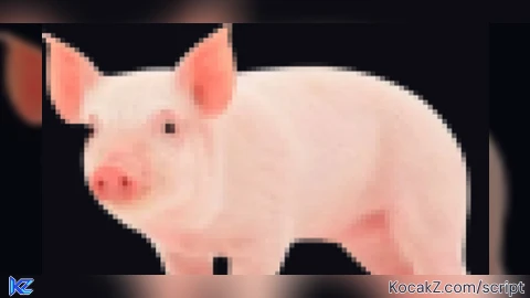 Pih