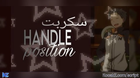 HANDLE position LOSKY