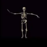 skeleton_haxxor