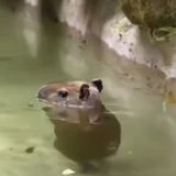 RealBaconBoy