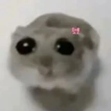 vench