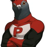 pombo_ttk