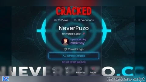cracked NeverPuzo.cc