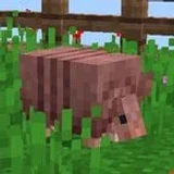 Testmzn