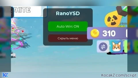 Auto win RANOYSD