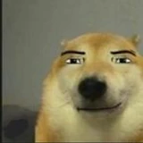 GroxKiller