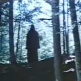 Vector