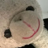 oiser_siriq8q