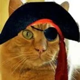 Patche*Kat
