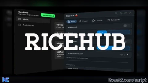 RiceHub UNDETECTED MULTIPLE GAMES