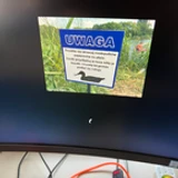 aaa3