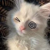 MrNazuki