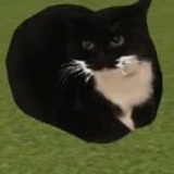 idkblahblahblah