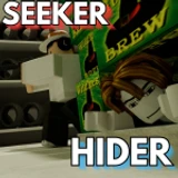 Seeker vs Hider
