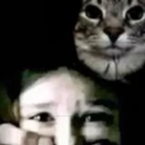 Someone_here