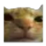 veejium
