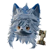 Foki