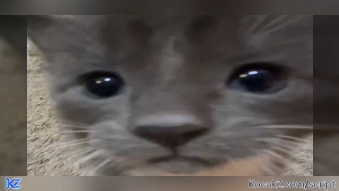 UserCreation v2