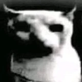 noOne2