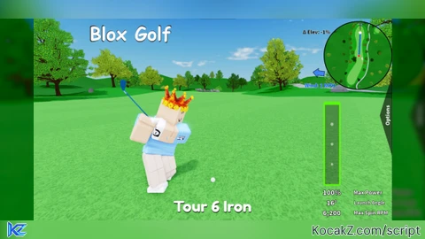 Auto hole in one