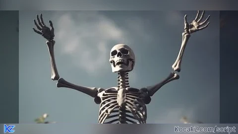 F3X HD Skeleton Sky