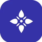 LuminousScripts