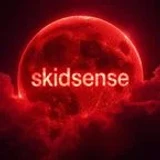 skidsense