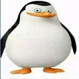 CalCor